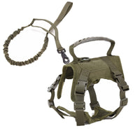 HKM-0248509 Adjustable Cat Chest Harness with Leash in Multiple Colors