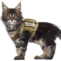 HKM-0248509 Adjustable Cat Chest Harness with Leash in Multiple Colors