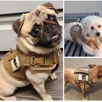 HKM-0248509 Adjustable Cat Chest Harness with Leash in Multiple Colors