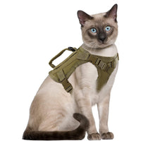 HKM-0248509 Adjustable Cat Chest Harness with Leash in Multiple Colors