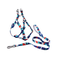 HKM-0251453 Pet Supplies Adjustable Dog Vest with Traction Rope ¨C Available in Blue, Pink, Green