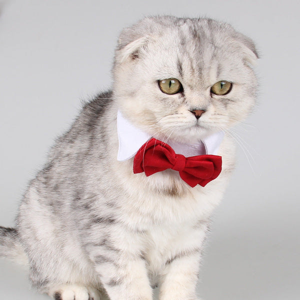 HKM-0253885 Red Butterfly Festival Cotton Bow Tie for Pet Collar - Adjustable Size, Stylish Design