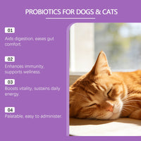 HKM-0257469 Probiotic Powder for Pet Digestive Health with Chicken and Prebiotic Ingredients