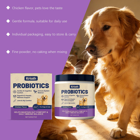 HKM-0257469 Probiotic Powder for Pet Digestive Health with Chicken and Prebiotic Ingredients