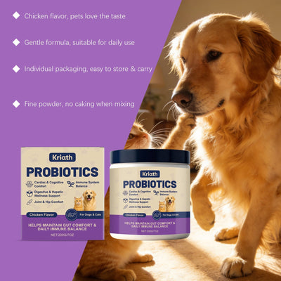 HKM-0257469 Probiotic Powder for Pet Digestive Health with Chicken and Prebiotic Ingredients
