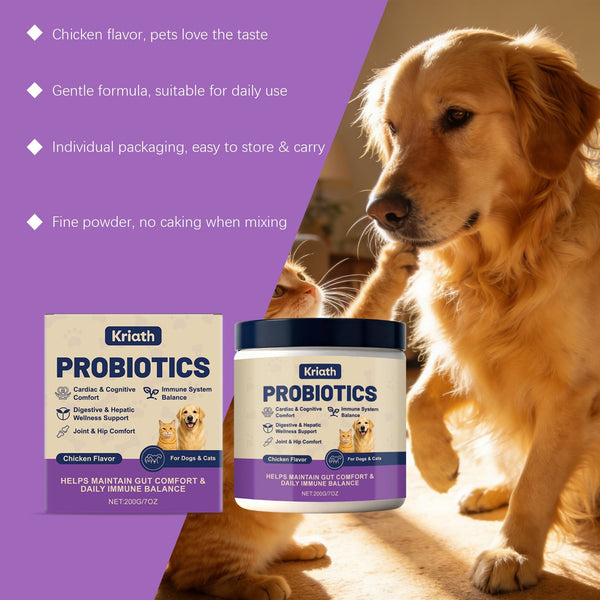 HKM-0257469 Probiotic Powder for Pet Digestive Health with Chicken and Prebiotic Ingredients