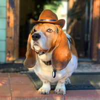 HKM-0263741 Brown and Black Cowboy Hat for Cats and Dogs - Casual Non-Woven Fabric, Size S/M, Four Seasons