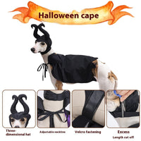 HKM-0264765 Black Halloween Dog Cloak and Hat Costume for Pets