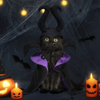 HKM-0264765 Black Halloween Dog Cloak and Hat Costume for Pets
