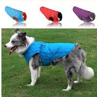 HKM-0278333 Double Color Checker Jacket for Pets - Autumn and Winter Apparel in Red, Blue, and Purple, Sizes S-XXL