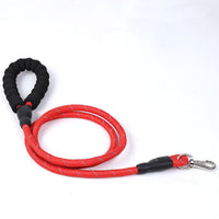 HKM-0278461 Reflective Nylon Dog Leash with Spring Clip, 1.2cm x 1.5m, Suitable for All Seasons