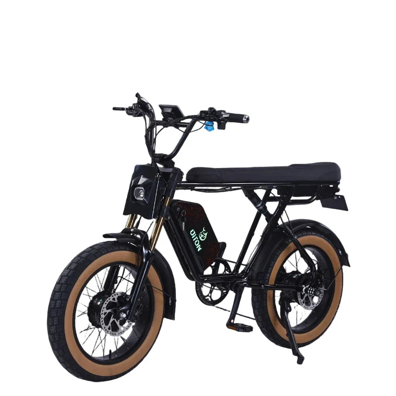 HKM-028435 48V 750W Dual Motor Electric Off-Road E-Bike with 25Ah Battery and Hydraulic Disc Brakes