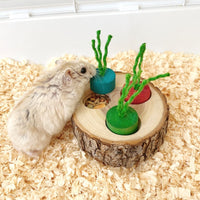 HKM-028563 Wooden Foraging Snack Box for Rabbits and Guinea Pigs - Educational Molar Toy