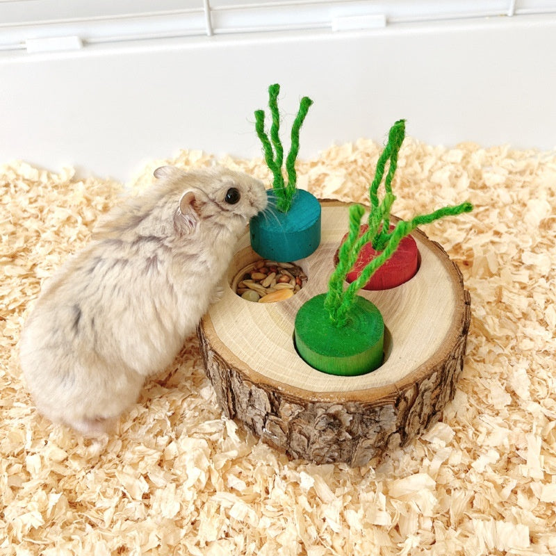 HKM-028563 Wooden Foraging Snack Box for Rabbits and Guinea Pigs - Educational Molar Toy