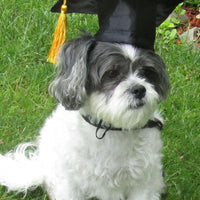 HKM-0288573 Pet Graduation Cap with Yellow Tassel for Dogs - Adjustable Fabric Design, One Size Fits All