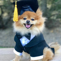 HKM-0288573 Pet Graduation Cap with Yellow Tassel for Dogs - Adjustable Fabric Design, One Size Fits All