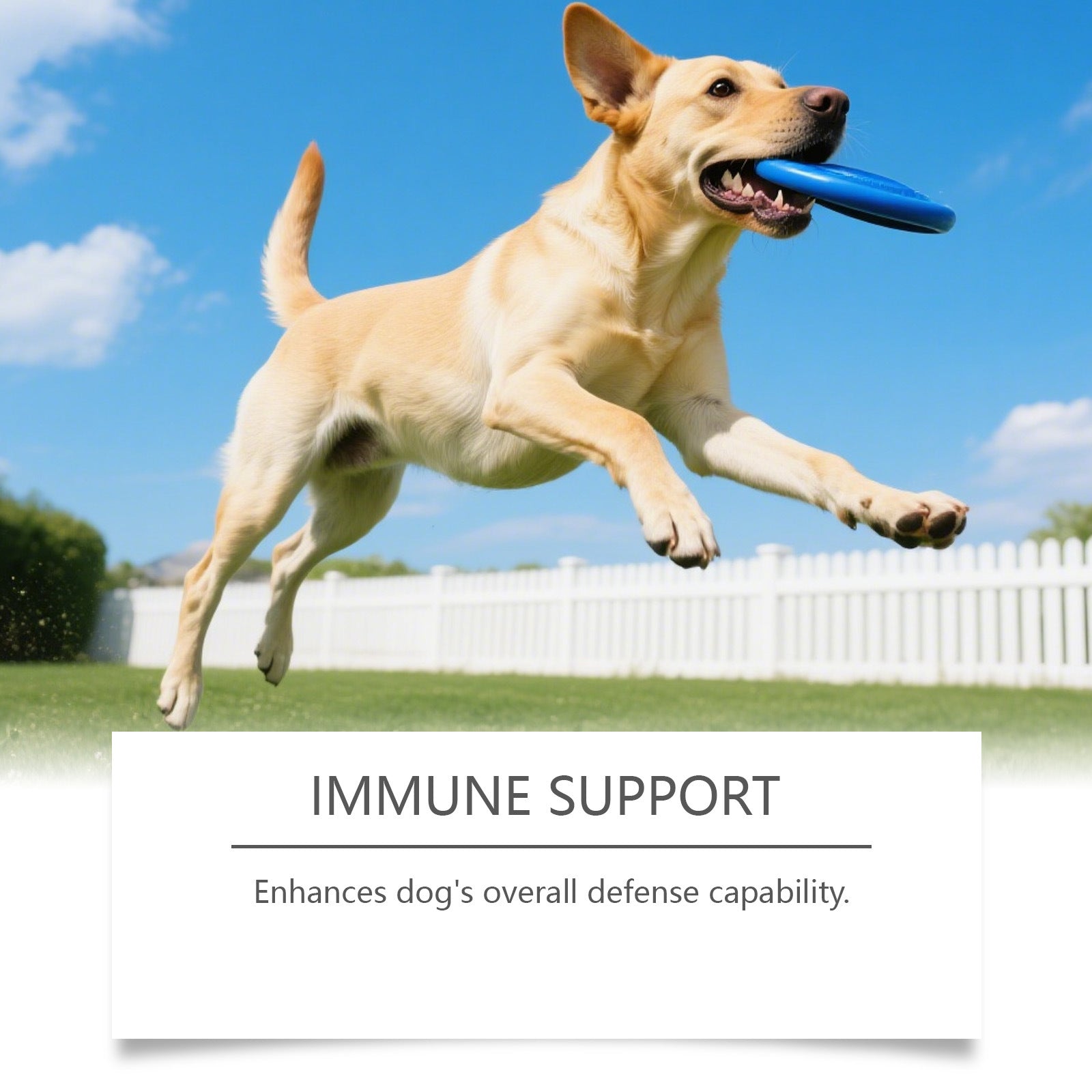 HKM-0290237 Dog Intestinal Health Soft Granules with Probiotics and Pumpkin Seed Extract