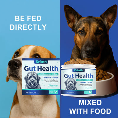 HKM-0290237 Dog Intestinal Health Soft Granules with Probiotics and Pumpkin Seed Extract