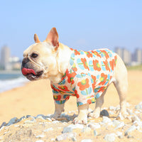 HKM-0292541 Summer Mesh Pet Clothing for Sun Protection in Floral Designs