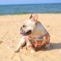 HKM-0292541 Summer Mesh Pet Clothing for Sun Protection in Floral Designs
