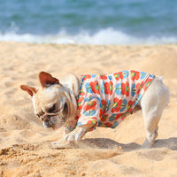 HKM-0292541 Summer Mesh Pet Clothing for Sun Protection in Floral Designs