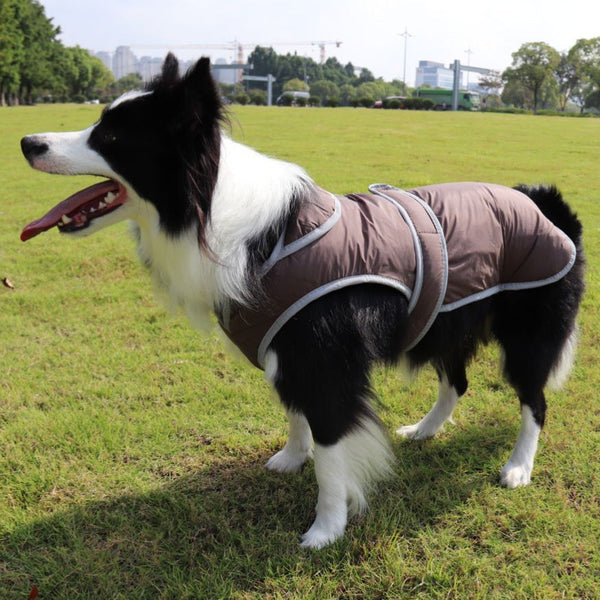 HKM-0294589 Autumn Cotton-Padded Lapel Coat for Dogs in Multiple Colors and Sizes