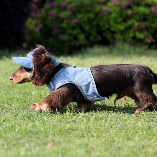 HKM-029523 Pet Cowboy Hat for Dogs - Sunscreen Sun Protection, Denim Style, Multiple Sizes Available