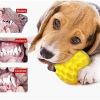 HKM-0297405 Durable Squeaky Dog Ball Toy for Aggressive Chewers - Dental Care & Mental Enrichment for All Breeds
