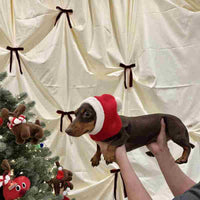 HKM-0297533 Warm Plush Dachshund Hat with Scarf for Pets - Little Red Riding Hood Style