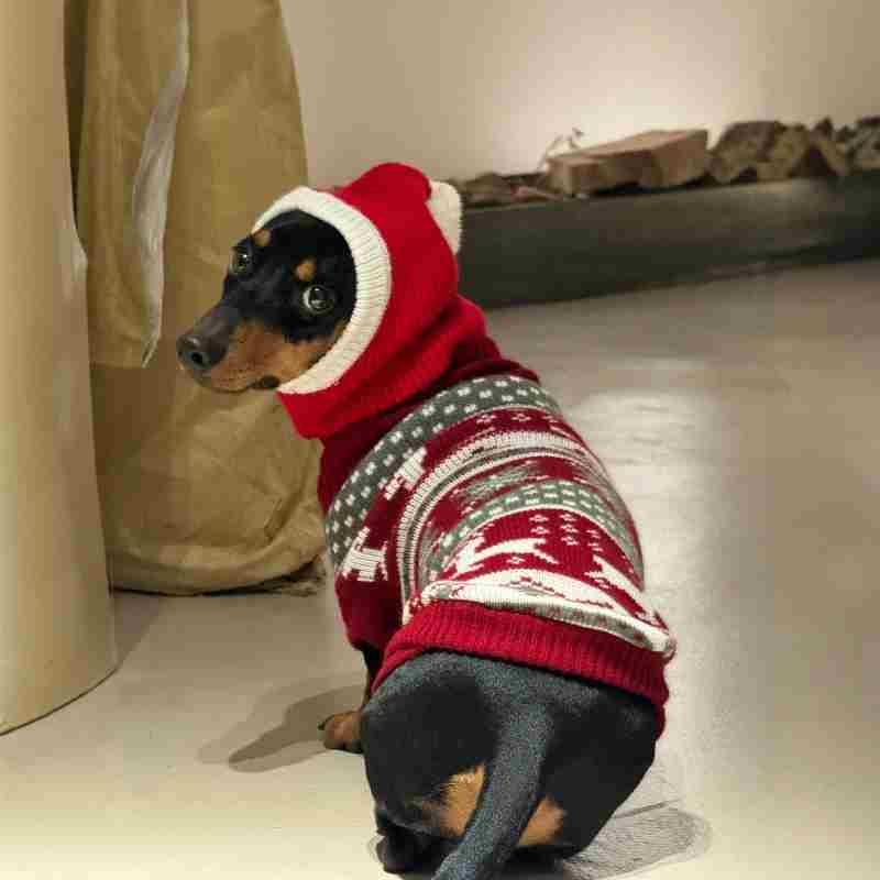 HKM-0297533 Warm Plush Dachshund Hat with Scarf for Pets - Little Red Riding Hood Style