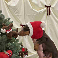 HKM-0297533 Warm Plush Dachshund Hat with Scarf for Pets - Little Red Riding Hood Style
