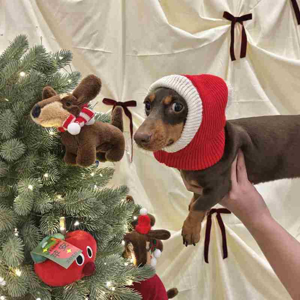 HKM-0297533 Warm Plush Dachshund Hat with Scarf for Pets - Little Red Riding Hood Style