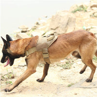 HKM-0299197 Lightweight Tactical Training Dog Vest, Waterproof Nylon K9 Chest Strap, Adjustable with Padded Lining