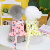 HKM-0300477 Fruit-Themed Dog Skirt with Leash ¨C Cotton Princess Style in Strawberry, Pineapple, and Apple
