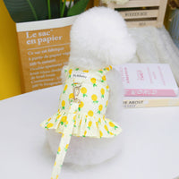 HKM-0300477 Fruit-Themed Dog Skirt with Leash ¨C Cotton Princess Style in Strawberry, Pineapple, and Apple