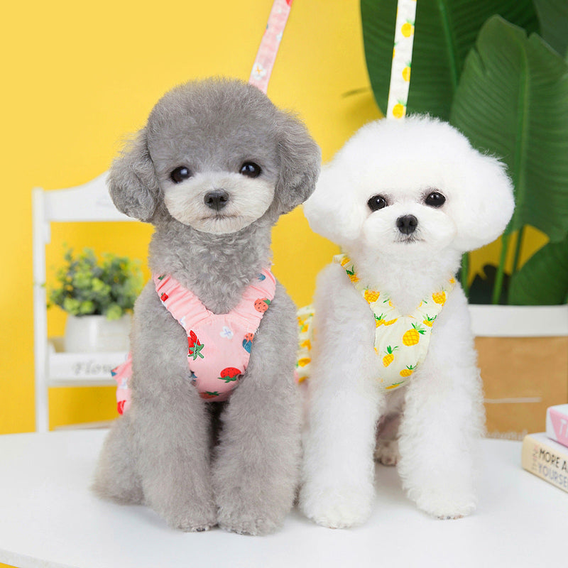 HKM-0300477 Fruit-Themed Dog Skirt with Leash ¨C Cotton Princess Style in Strawberry, Pineapple, and Apple
