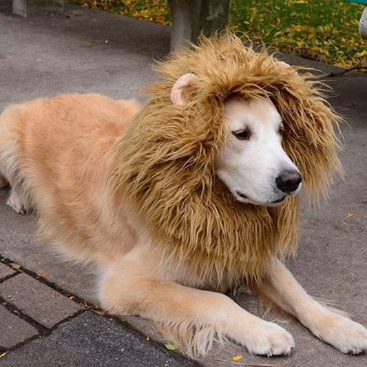 HKM-0301757 Cozy Pet Lion Mane Wig Costume for Cats and Dogs - Adjustable Winter Apparel