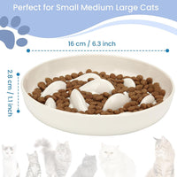 HKM-0301885 Cat Slow Feeding Bowl with Raised Edge, Non-Slip Base, and Easy-Clean Design