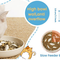 HKM-0301885 Cat Slow Feeding Bowl with Raised Edge, Non-Slip Base, and Easy-Clean Design