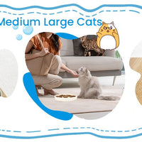 HKM-0301885 Cat Slow Feeding Bowl with Raised Edge, Non-Slip Base, and Easy-Clean Design