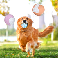 HKM-0304317 Durable Non-Toxic Dog Toy Balls for Chewing and Teeth Cleaning - 12 Pack High Bounce Rubber Balls