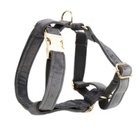 HKM-0304957 Adjustable Dog Fabric Velvet Collar Set with Rope, Bow Knot, Flower, Vest, and Poop Bag