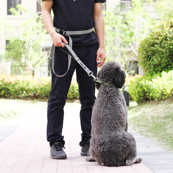 HKM-0316989 Multi-Functional Nylon Dog Leash in Light and Dark Grey