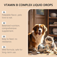 HKM-0323005 Pet Vitamin B Complex Nutritional Drops for Enhanced Health and Vitality