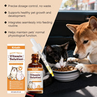 HKM-0323005 Pet Vitamin B Complex Nutritional Drops for Enhanced Health and Vitality