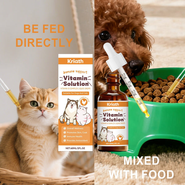 HKM-0323005 Pet Vitamin B Complex Nutritional Drops for Enhanced Health and Vitality