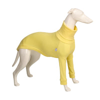 HKM-0329277 High Neck Pure Cotton Dog Shirt in Yellow, Pink, Gray, and Black