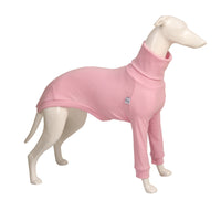 HKM-0329277 High Neck Pure Cotton Dog Shirt in Yellow, Pink, Gray, and Black