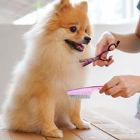 HKM-0341693 Multifunctional Pet Comb for Tear Stain Removal and Grooming - Stainless Steel, Ergonomic Design for Small Dogs and Cats