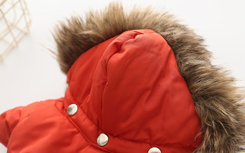HKM-0342589 Hooded Cotton Down Jacket for Dogs - Warm and Stylish in Blue, Beige, Red